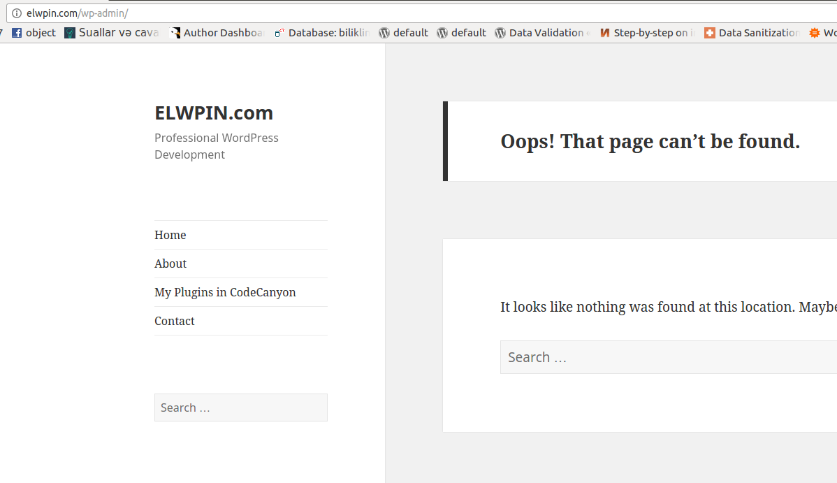 not-found-page-wordpress